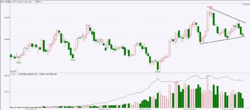 春節(jié)假期開(kāi)市預(yù)測(cè)報(bào)告 農(nóng)畜產(chǎn)品板塊商品現(xiàn)貨銷(xiāo)售展望